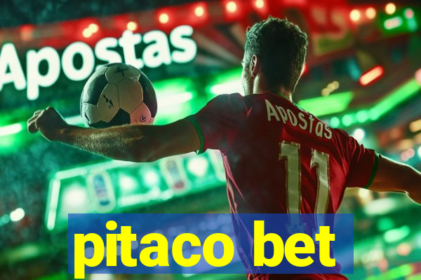 pitaco bet